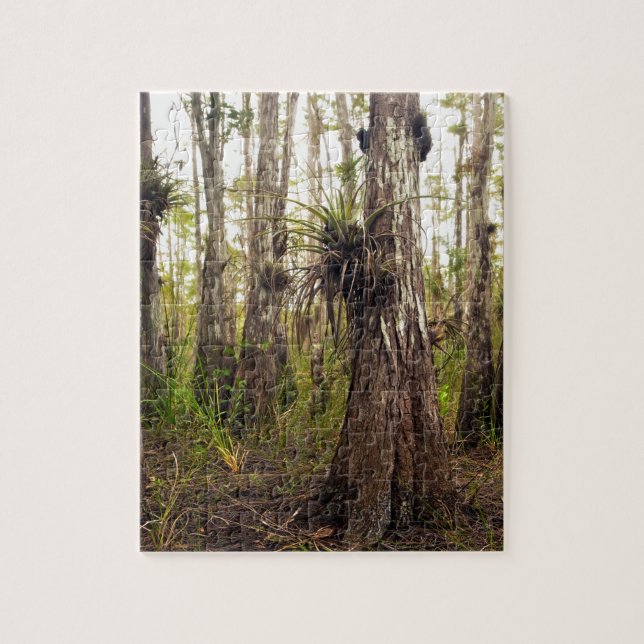 Epiphyte Bromeliad in Florida Forest Jigsaw Puzzle (Vertical)