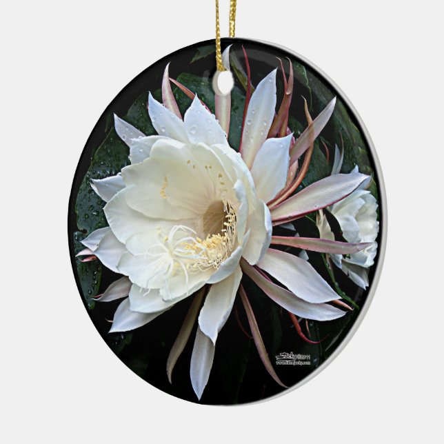 Epiphyte Cactus Flower Ceramic Ornament (Left)