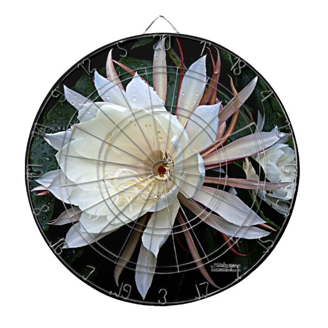 Epiphyte Cactus Flower Dartboard (Front)