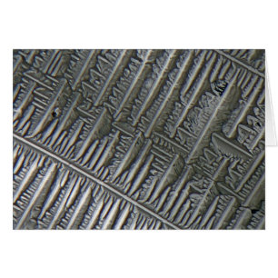 Epsomite under the microscope
