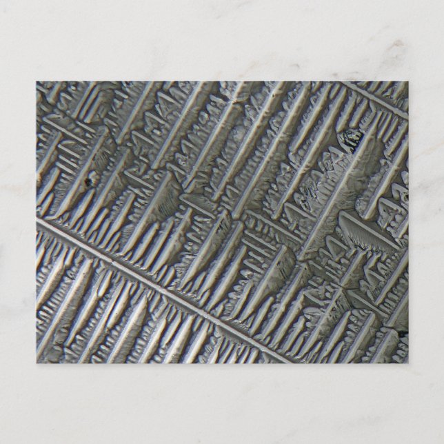 Epsomite under the microscope postcard (Front)