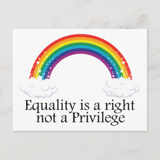 Equality is a right not a privilege postcard