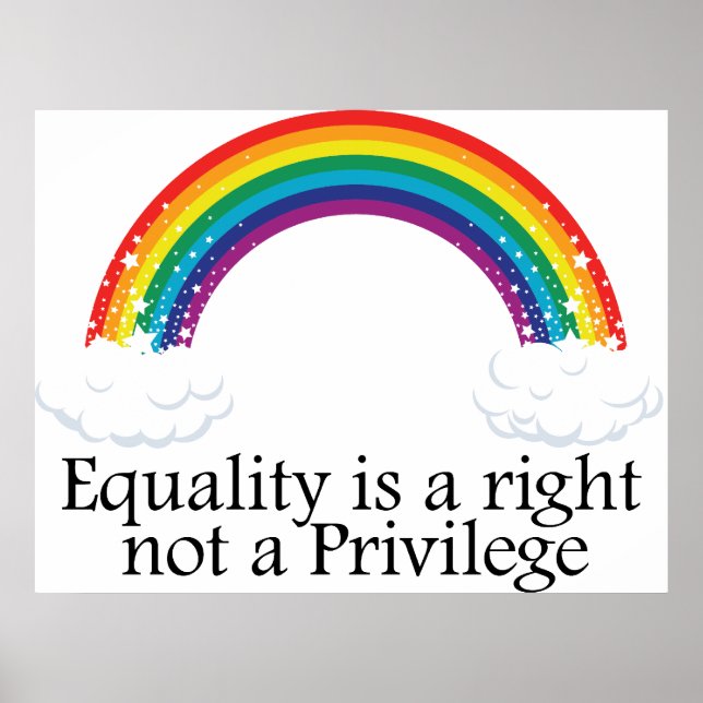 Equality is a right not a privilege poster (Front)