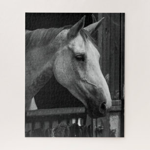 Equestrian Black and White Horse Jigsaw Puzzle
