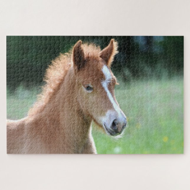 Equestrian Horse Foal Jigsaw Puzzle (Horizontal)