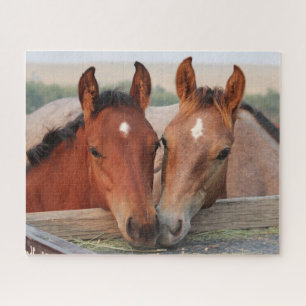 Equestrian Horse Foals Jigsaw Puzzle