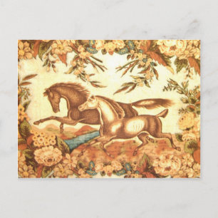Equestrian Horse Postcard 1