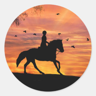 Equestrian Hunter Jumper Horseback Riding Stickers