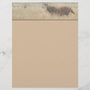 Equestrian Letterhead
