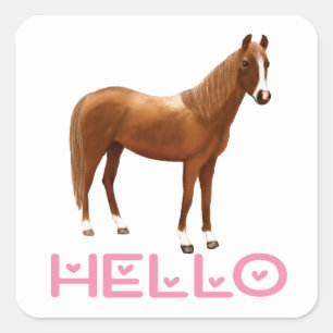 Equestrian Miss You Thinking of you Hello Horse Square Sticker