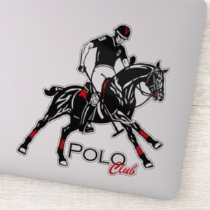 equestrian polo sport