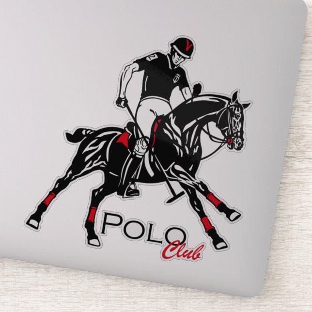 equestrian polo sport (Detail)