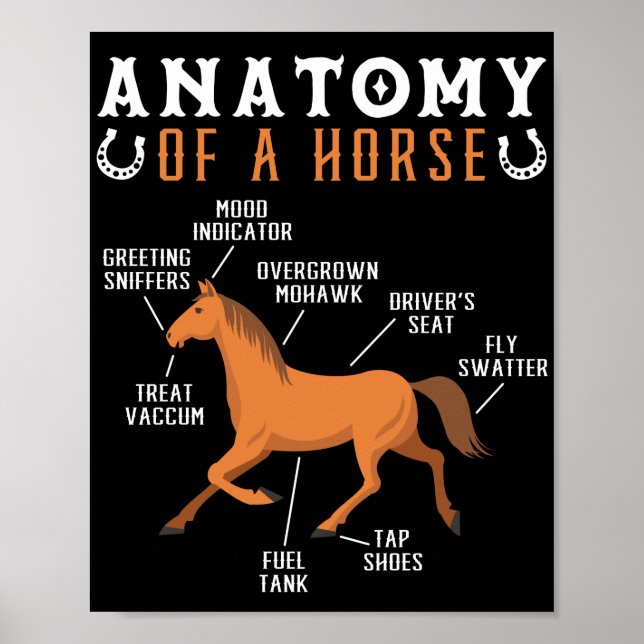Equestrian Riding Anatomy Of A Horse Lover Poster (Front)