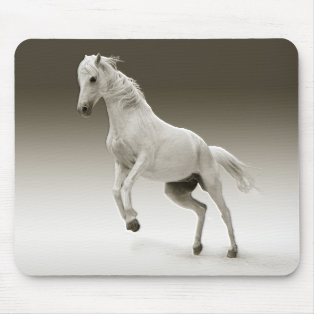 Equestrian White Mare Horse Mouse Pad (Front)