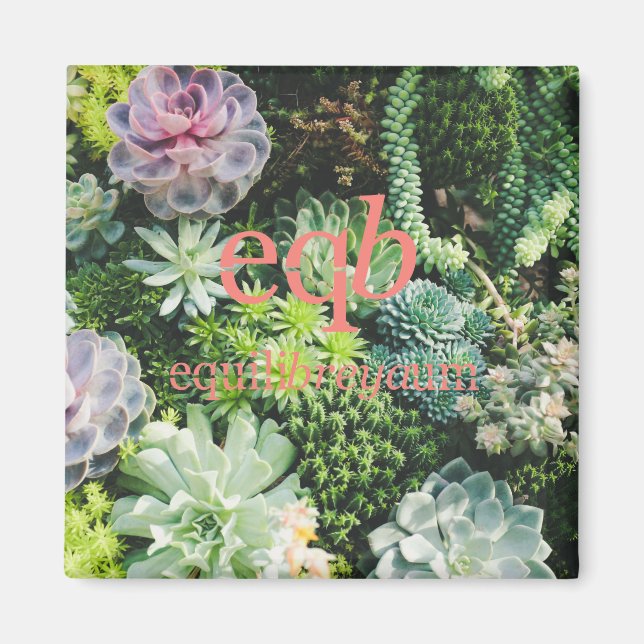 equilibreyaum magnet (Front)