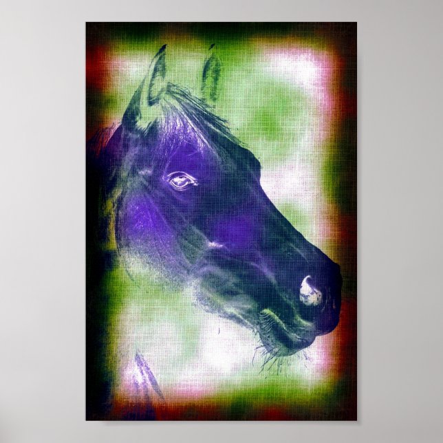 Equine 3 poster (Front)