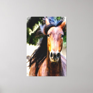 *~* Equine AR22 Black Mane Horse Art Canvas Print
