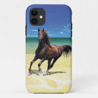 Equine Beach Beauty iPhone 5 Case