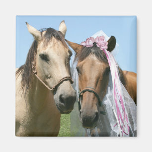 Equine bride and groom magnet