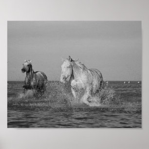 Equine fine art photography, poster
