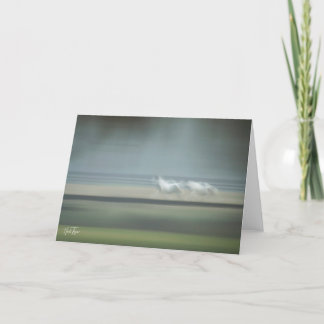 Equine Illusions note card