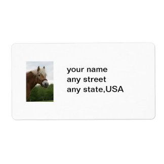 equine mailing labels