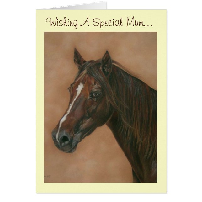 equine portrait of chestnut mare brown horse (Front)