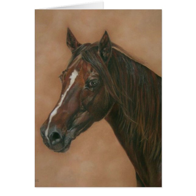 equine portrait of chestnut mare brown horse (Front)