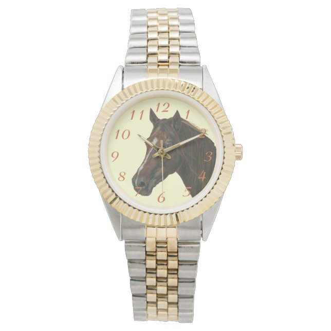 equine portrait of chestnut mare brown horse watch (Front)