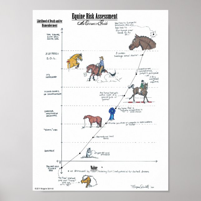 Equine Risk Assessment Mini-Poster Poster (Front)