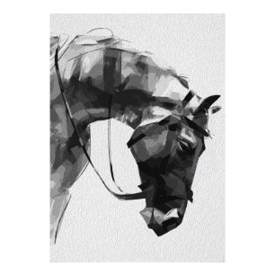 Equine Strength in Monochrome Photo Print