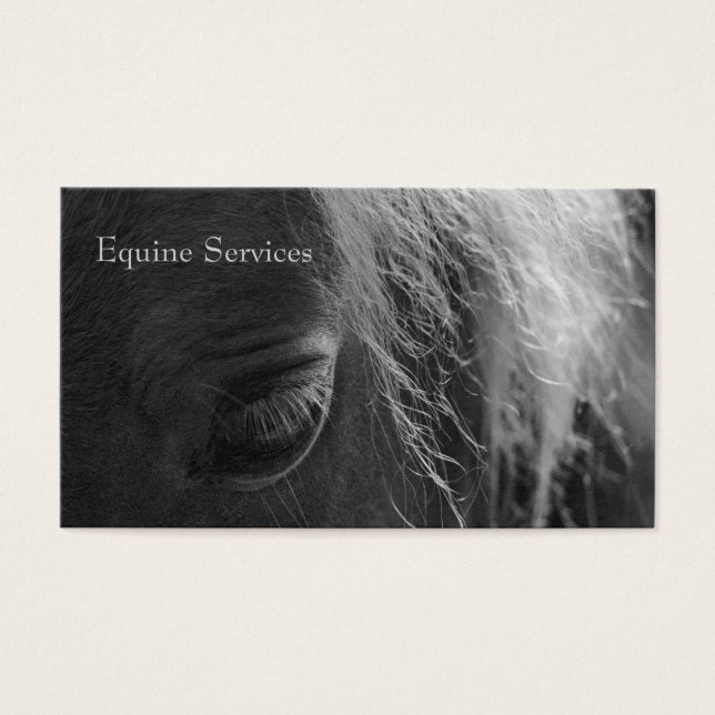 Equine Up Close (Front)