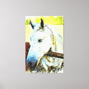 *~* Equine White Horse over Wood Fence AR22 Canvas Print