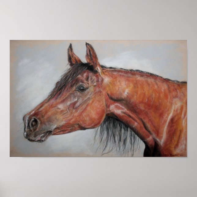 Equirious Poster (Front)