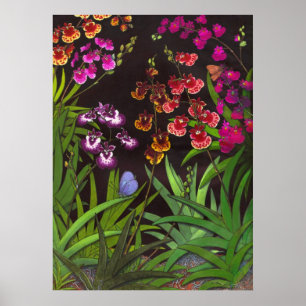 Equitant Oncidium Tolumnia Orchids Print