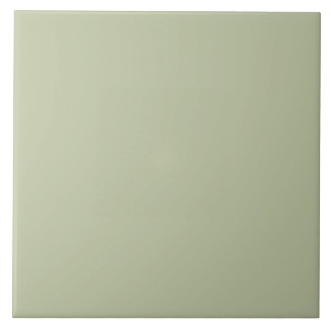 ER Sage Green bfc6a3 FN Ceramic Tile (Front)