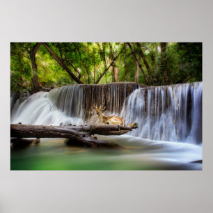 Erawan Waterfall with Deer Relaxing   Poster