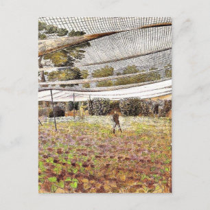 Eric Ravilious artwork, Strawberry Nets, Postcard