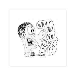 Erica Crooks Comics - What did you just say ? Self-inking Stamp