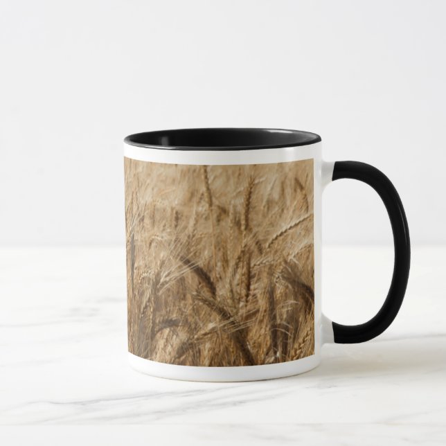 Erick, Oklahoma Route 66 Mug (Right)
