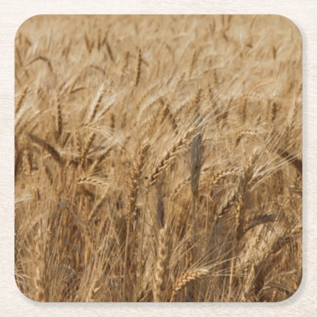 Erick, Oklahoma Route 66 Square Paper Coaster (Front)