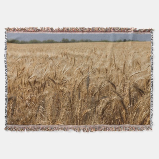 Erick, Oklahoma Route 66 Throw Blanket (Front)