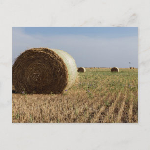 Erick, Oklahoma, USA - Route 66 Postcard