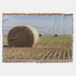Erick, Oklahoma, USA - Route 66 Throw Blanket