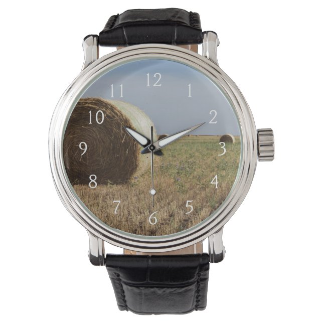 Erick, Oklahoma, USA - Route 66 Watch (Front)