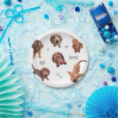 Eridox red chocolate dachshund dapple puppies paper plate (Party)