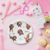 Eridox red chocolate dachshund dapple puppies paper plate (Party)