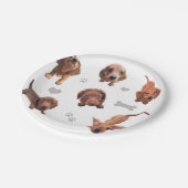 Eridox red chocolate dachshund dapple puppies paper plate (Angled)