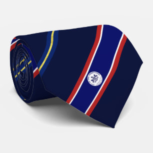 Erie (Pennsylvania) city flag Neck Tie
