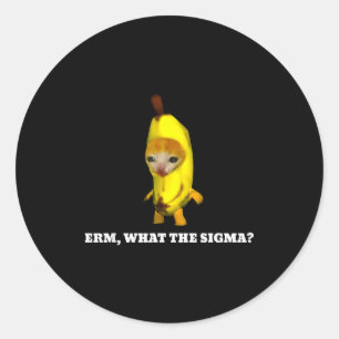 Erm, What Sigma_ Cat Meme Men Women Girls Kids  Classic Round Sticker